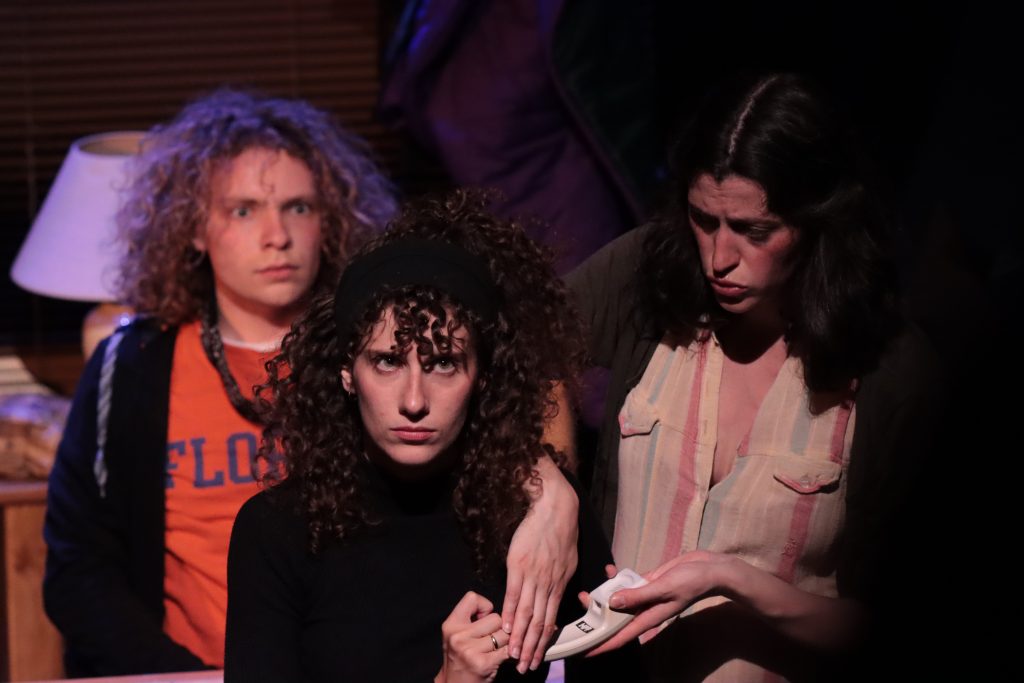 Spectacle théâtral La maladie de la famille M