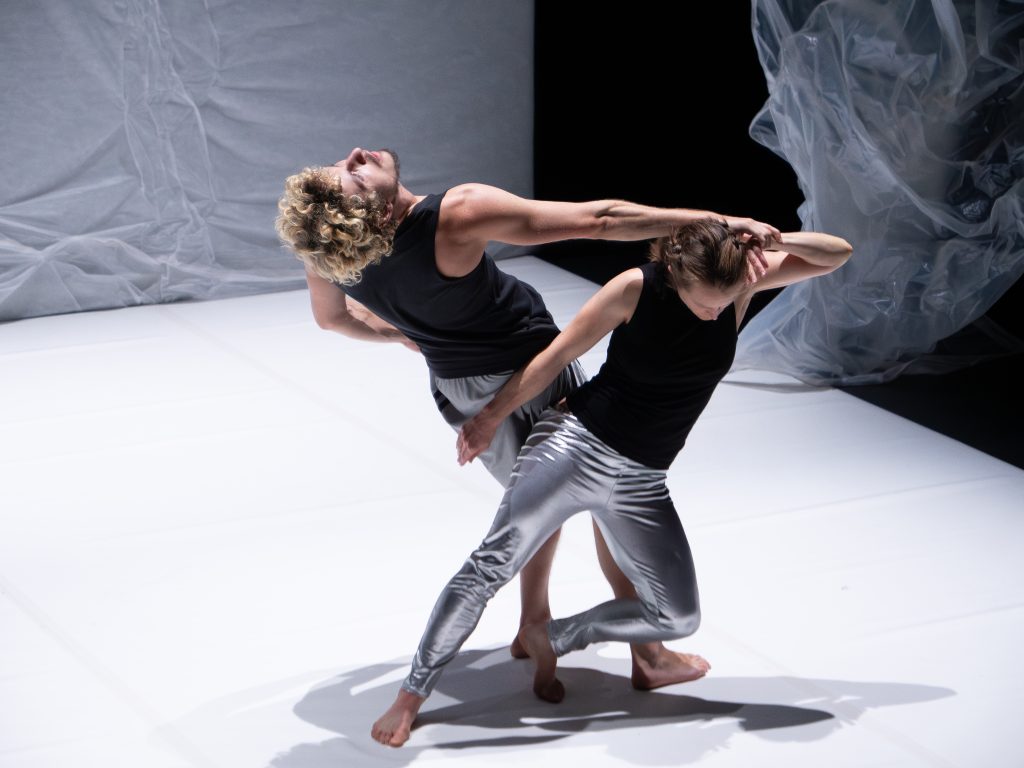 Danseurs du spectacle de danse STRATES